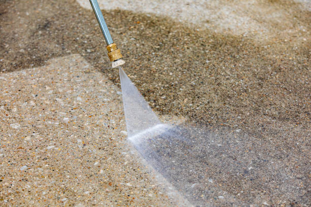 Best Patio and Deck Pressure Washing  in Warren, MI