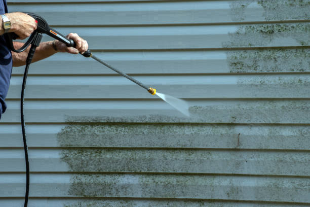Best Gutter Cleaning  in Warren, MI