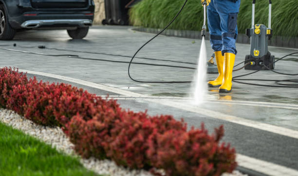 Best Roof Washing  in Warren, MI