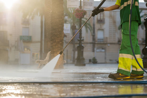 Best Gutter Cleaning  in Warren, MI